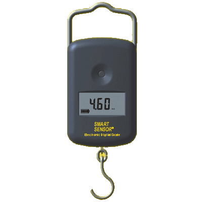 香港?，?數(shù)字電子秤AR855點(diǎn)擊小圖看大圖