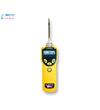 MiniRAE3000VOC檢測(cè)儀PGM-7320