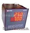 PHG5203PHG5203經(jīng)濟(jì)型在線PH計(jì)