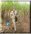 探地雷達土壤污染調(diào)查Grounddetection
