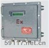 TDS-100F2壁掛防爆型超聲波流量計(jì)